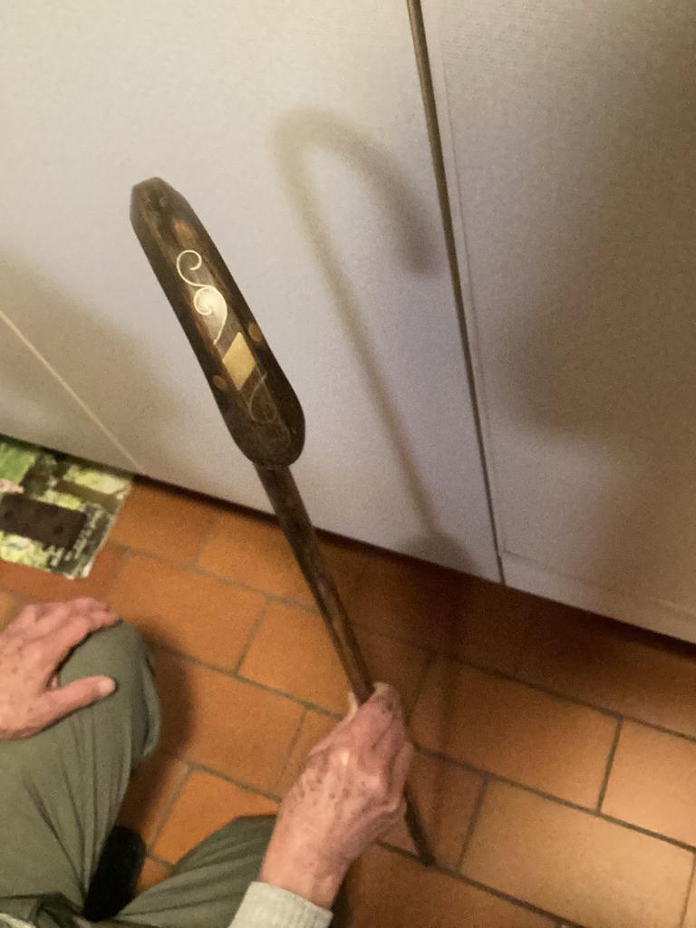 Canne de marche robuste en os, Enlèvement ou Envoi, Utilisé