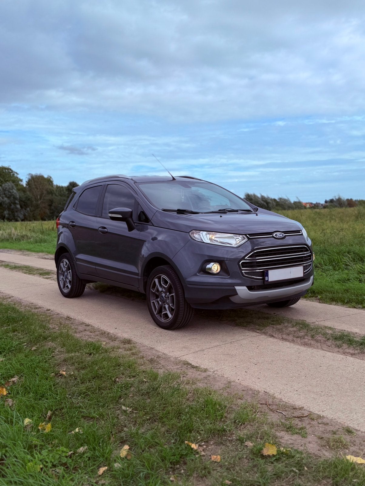 Ford EcoSport 1.0 EcoBoost TITANIUM 033 ooo km euro 6!, Argent ou Gris, Euro 6, Ecosport, Boîte manuelle