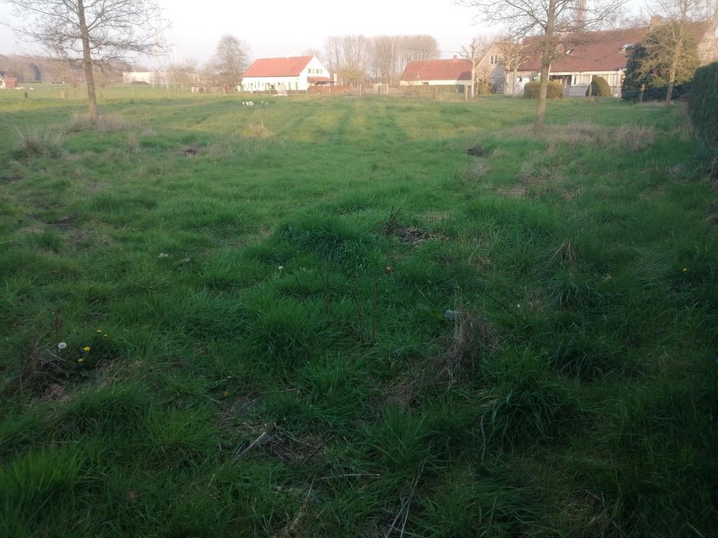 Weide te huur, Dieren en Toebehoren, Stalling en Weidegang