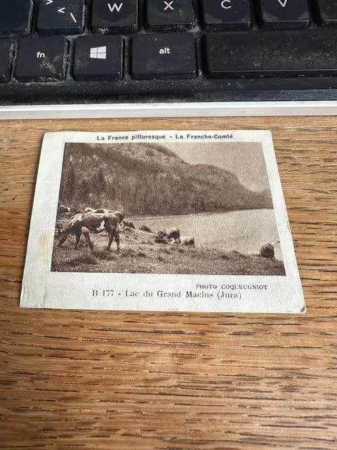 image chromée : la vache qui rit B177 lac Maclus, Info@acqu.ri, Enlèvement ou Envoi, Utilisé, Autres types