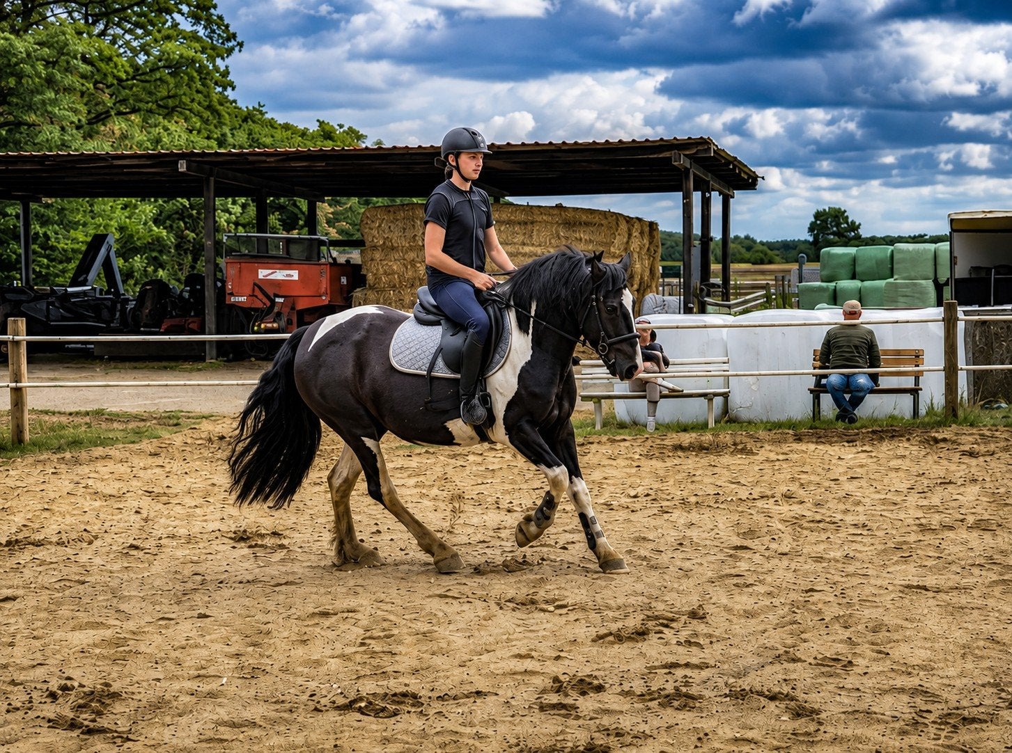 7 jarige allround merrie D-pony, Dieren en Toebehoren, Merrie, M, Recreatiepony