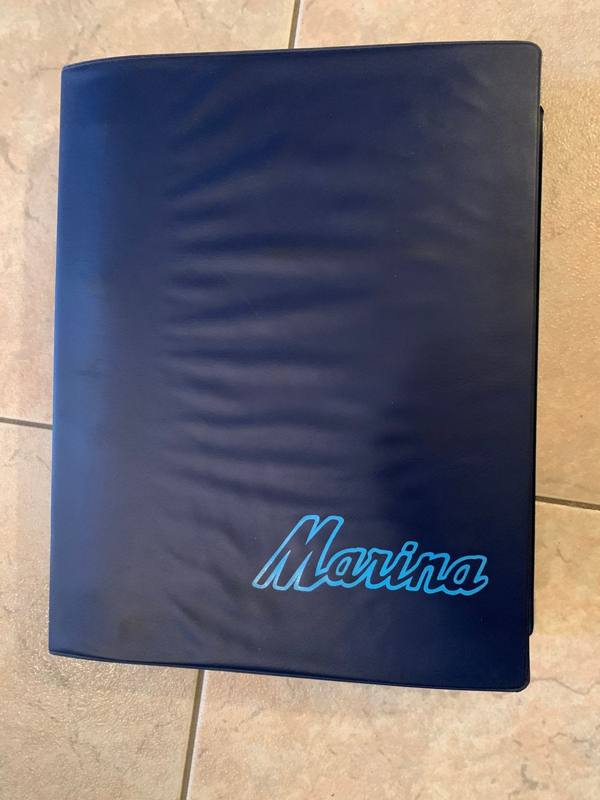 Reparatie handboek - Austin - Marina, Enlèvement ou Envoi