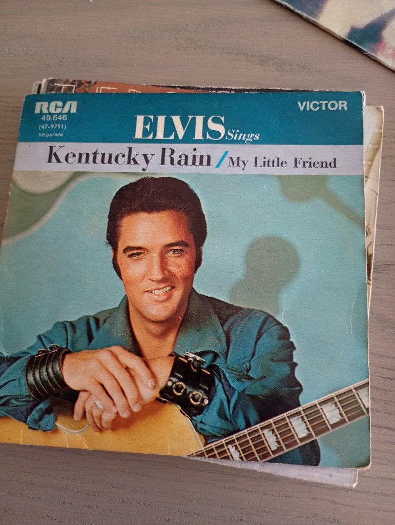 Elvis Presley - Kentucky rain, Gebruikt, Verzenden, 7 inch, Fotohoes