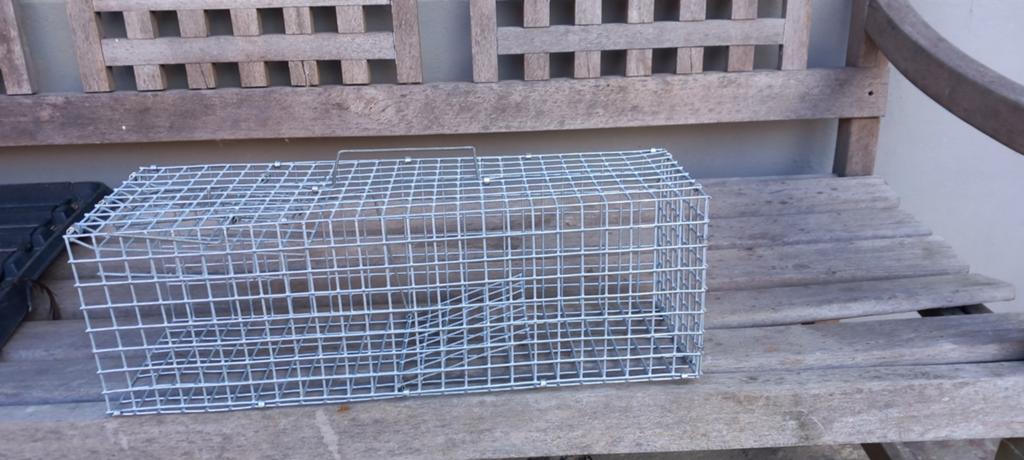 Piège à rats, cage à rats, Animaux & Accessoires, Enlèvement