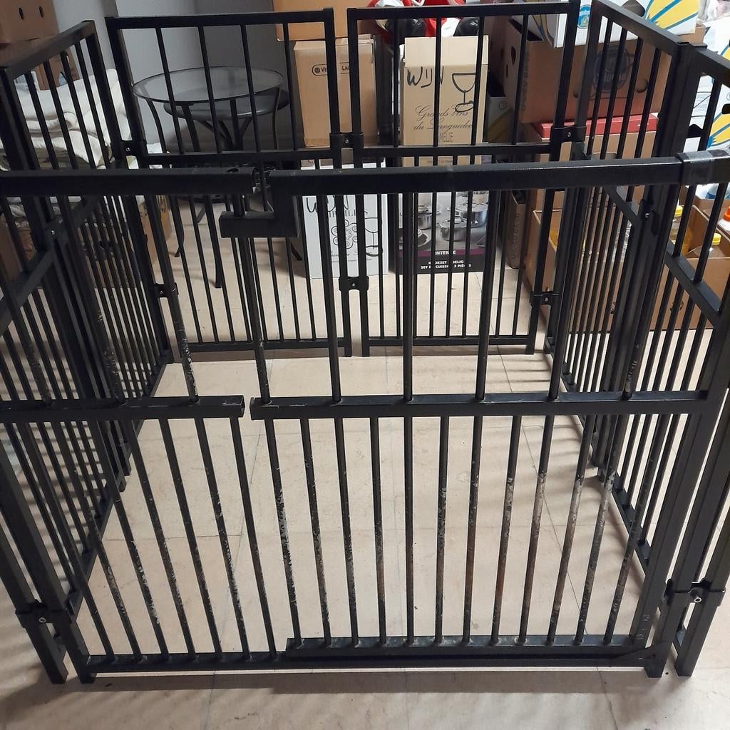 Puppyren metaal, Enlèvement