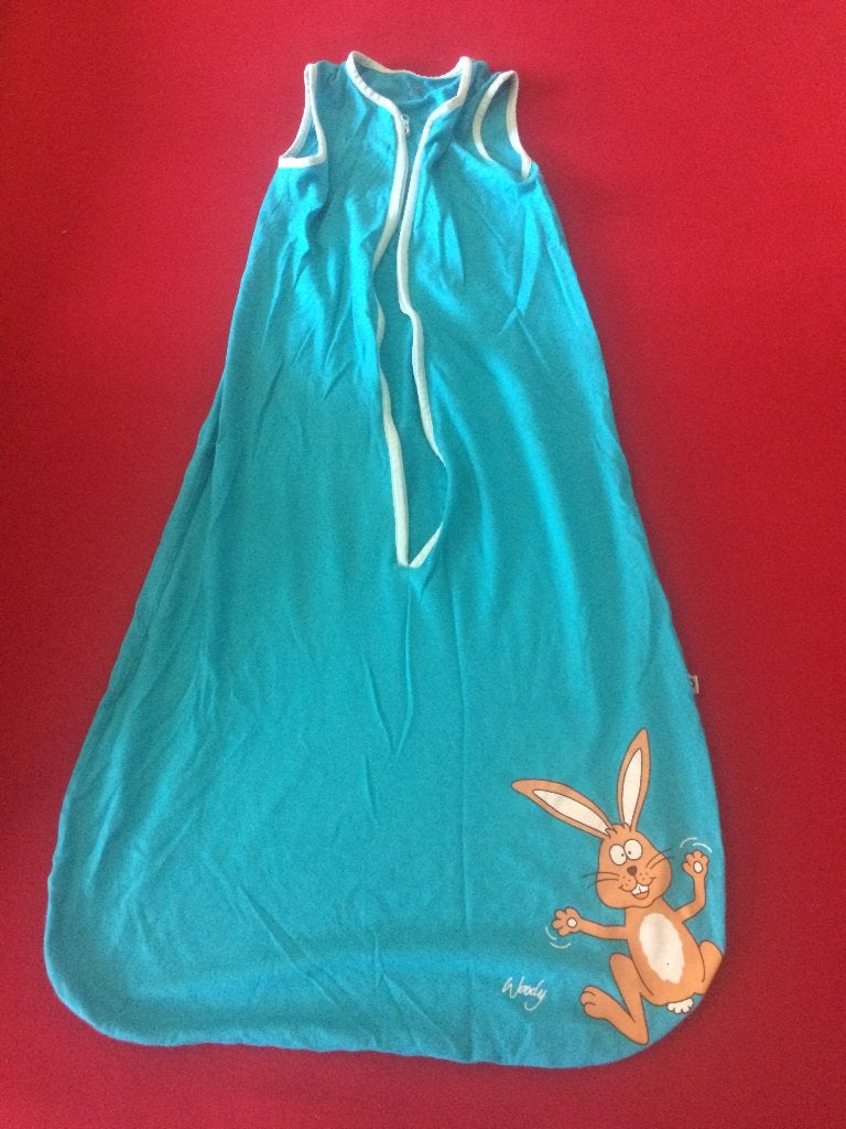 slaapzak van woody, Kinderen en Baby's, Kinderkleding | Overige, Ophalen, Zo goed als nieuw, Woody, Jongen of Meisje