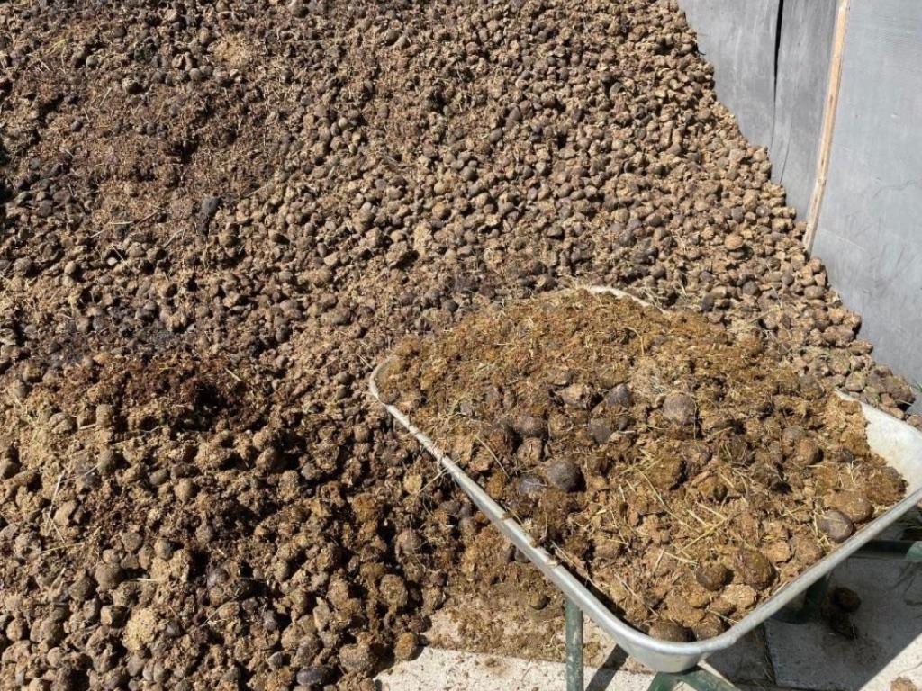 Gratis zuivere paardenmest - vlot bereikbaar met aanhanger, Enlèvement, Fumier