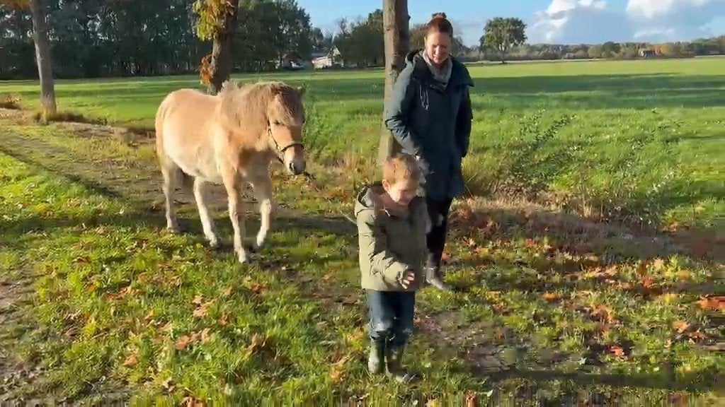 🍁lieve sociale fjorden jaarling 🍁, Étalon, Vermifugé