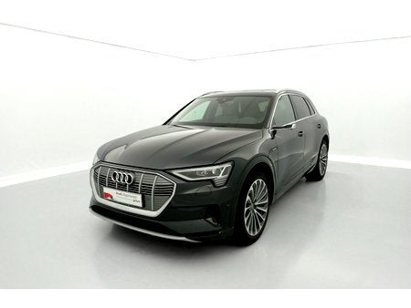 Audi Suv e-tron Audi e-tron  advanced 55 quattro 265 kW, Autos, Argent ou Gris, Achat, Automatique, Electronic Stability Program (ESP)
