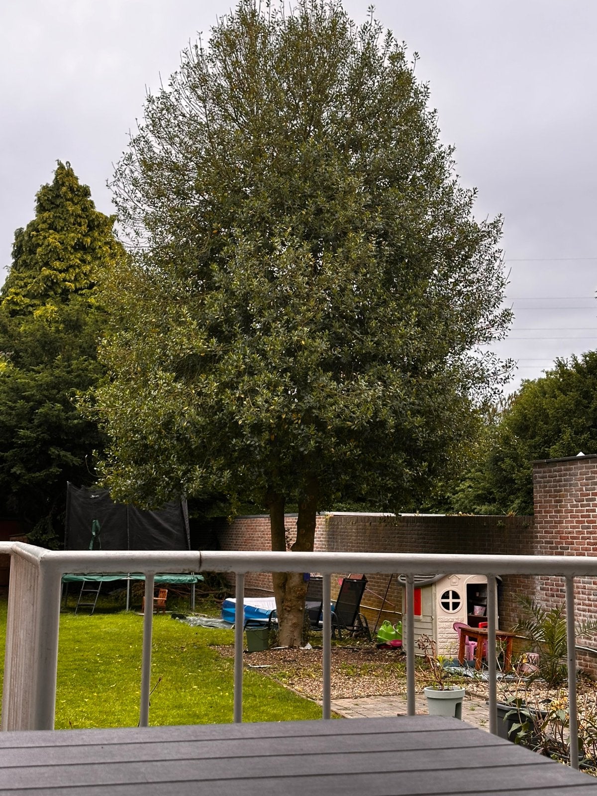 Gratis hout, Ophalen
