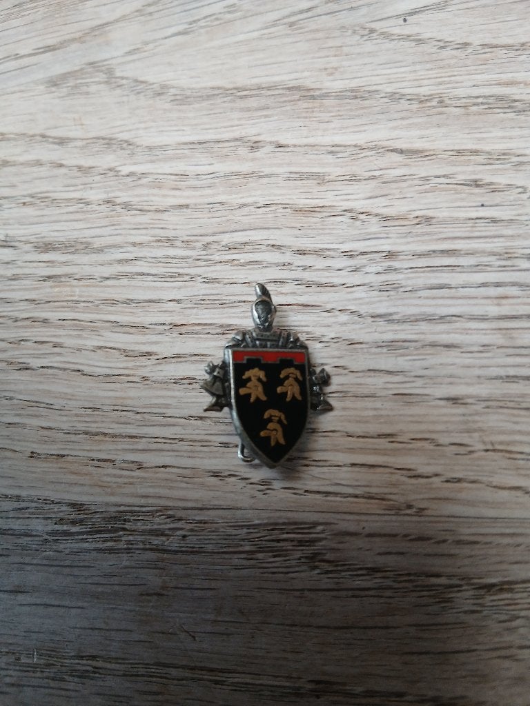 Insigne 1 groupement de genie de combat, Collections, Envoi, Armée de terre, Emblème ou Badge