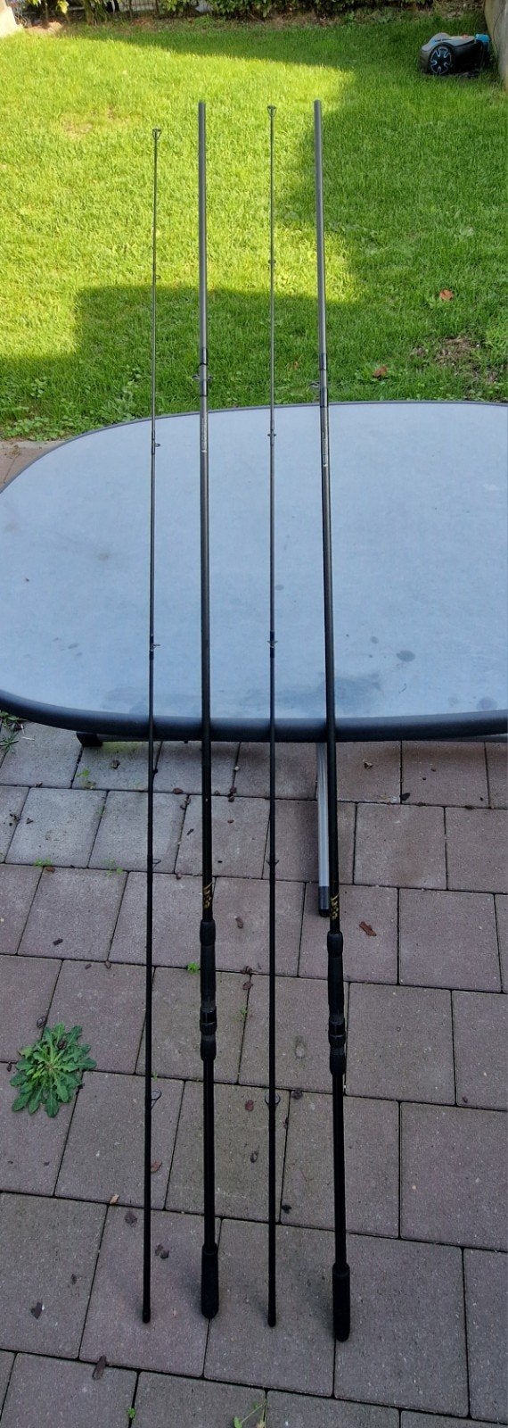 2 x Klassieke Sportex Specimen Carp 12ft 2.25-2.5 lbs, Enlèvement, Utilisé, Canne à lancer
