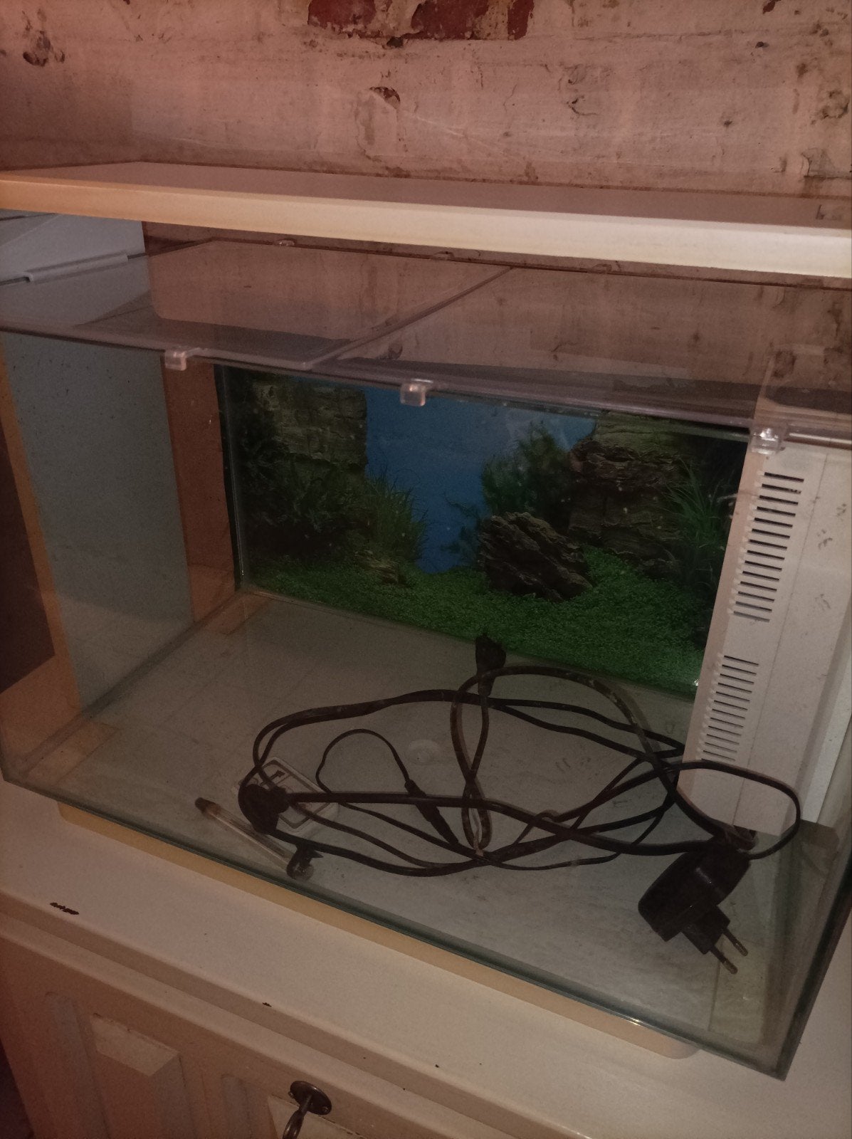 Aquarium, Enlèvement, Pompe