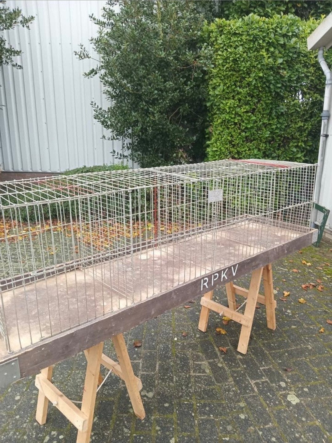 Tentoonstellingskooien 50x50
