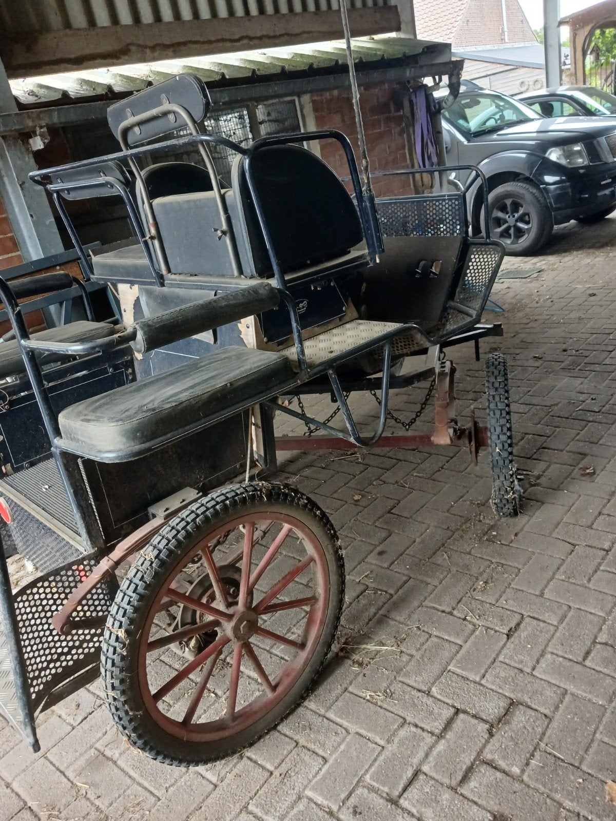 Marathon koest pony en haflinger, Pony