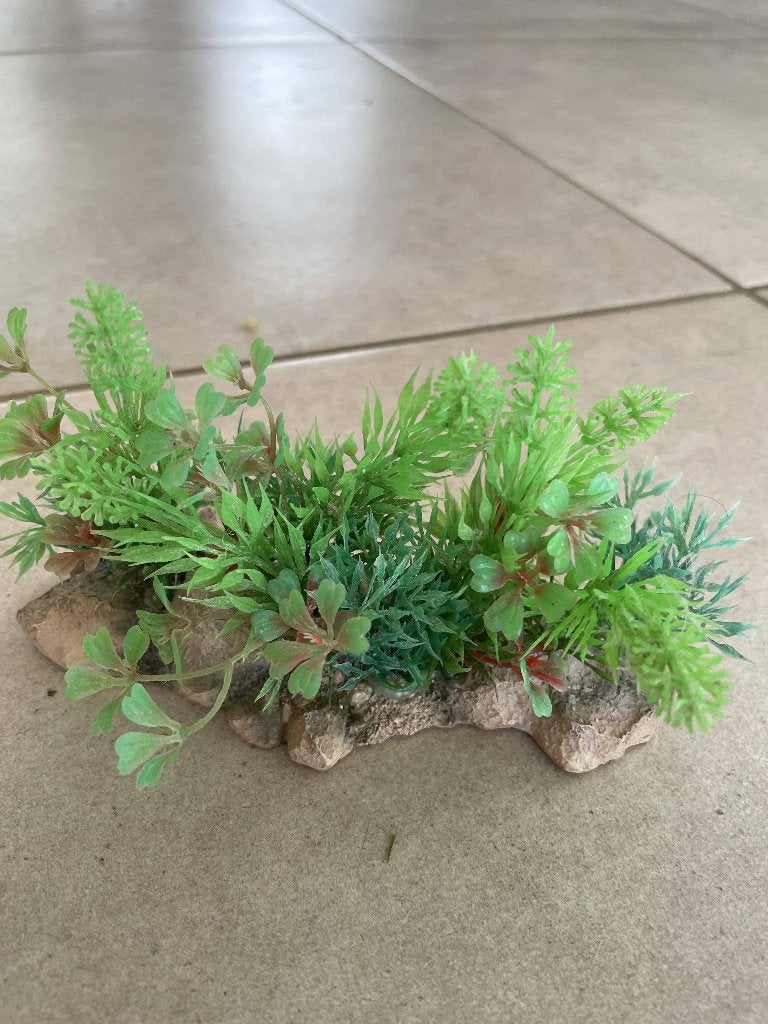 aquarium planten op rots, Dieren en Toebehoren, Ophalen of Verzenden, Zo goed als nieuw, Decoratie