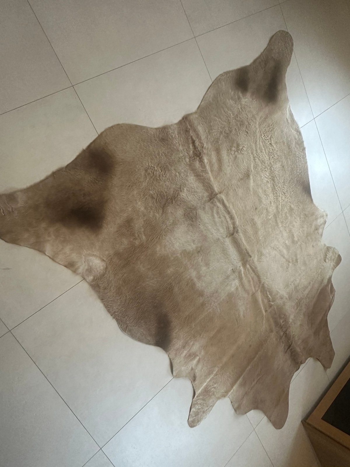 Prachtig beige koeienhuid vloerkleed, Ophalen, Zo goed als nieuw, Beige