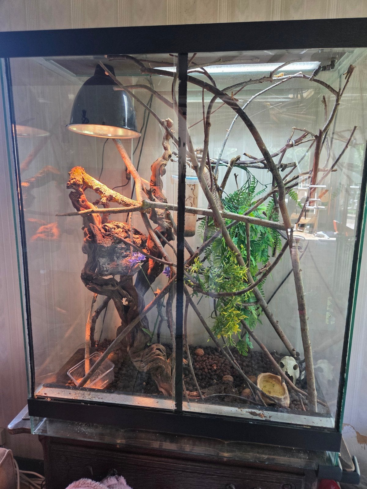 Groot glazen terrarium 80x50x100 + sproeisysteem & verlichti, Ophalen, Verlichting