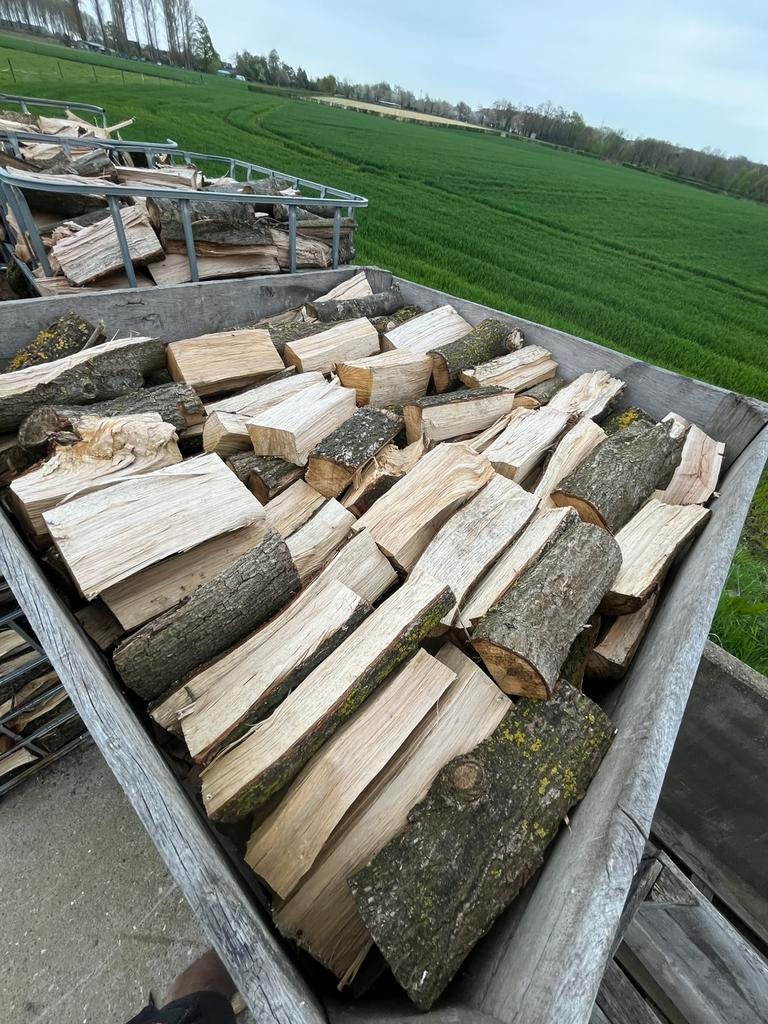 Eik in paloks, Tuin en Terras, Brandhout, Ophalen