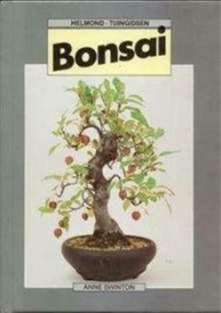 Bonsai, Anne Swinton, Boeken, Ophalen of Verzenden, Gelezen