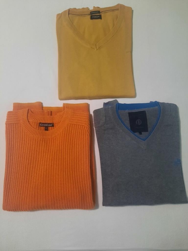 Lot truien maat L Zo goed als nieuw, Vêtements | Hommes, Pulls & Vestes, Enlèvement ou Envoi, Comme neuf, Taille 52/54 (L)