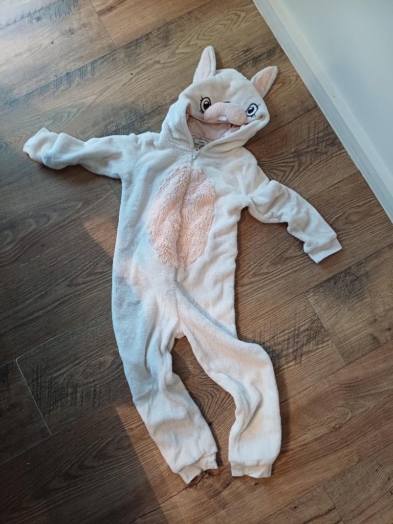 Verkleedpak / Onesie konijn, Ophalen of Verzenden, Zo goed als nieuw, 110 t/m 116, Jongen of Meisje