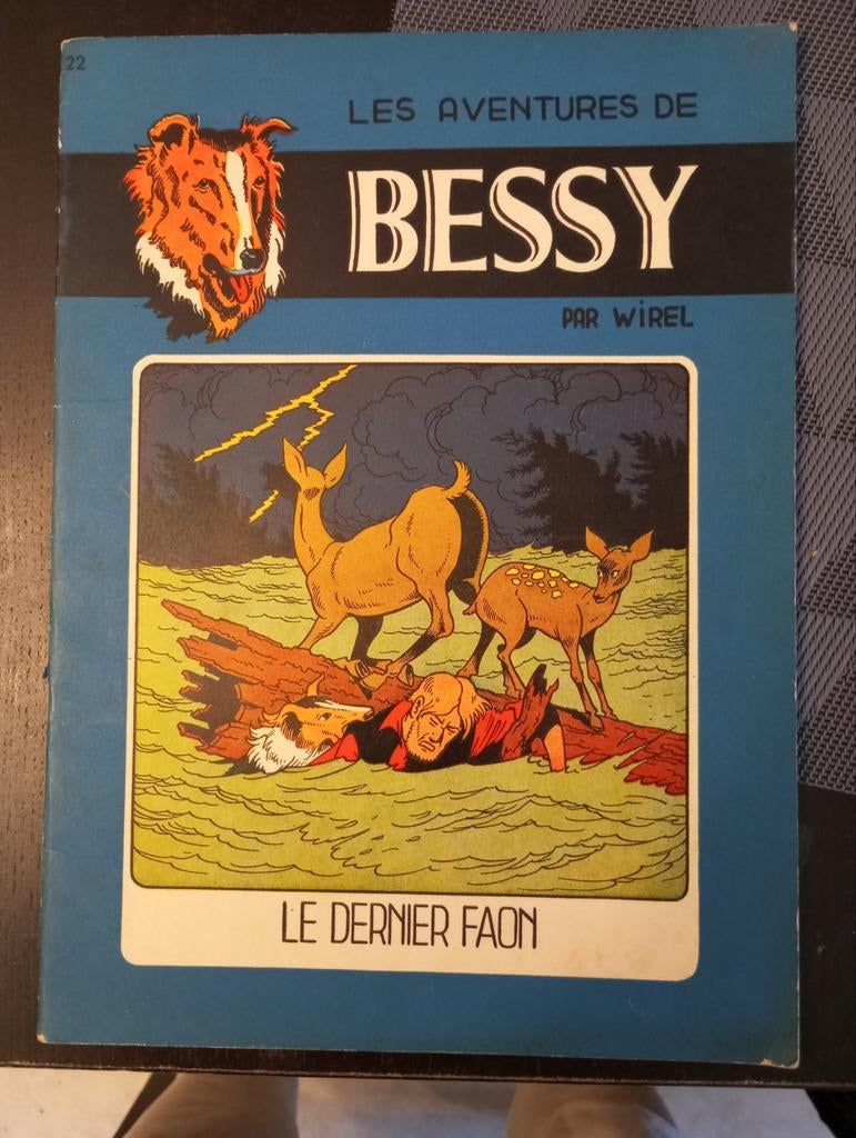 Bessy 22 le dernier faon, Ophalen of Verzenden, Gelezen