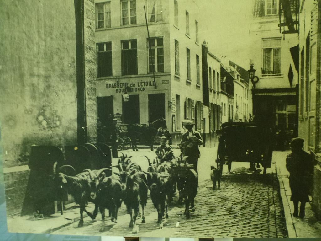 2 reproductions de photos anciennes Bruxelles sur bloc, Avant 1940, Photo, Comme neuf, Enlèvement