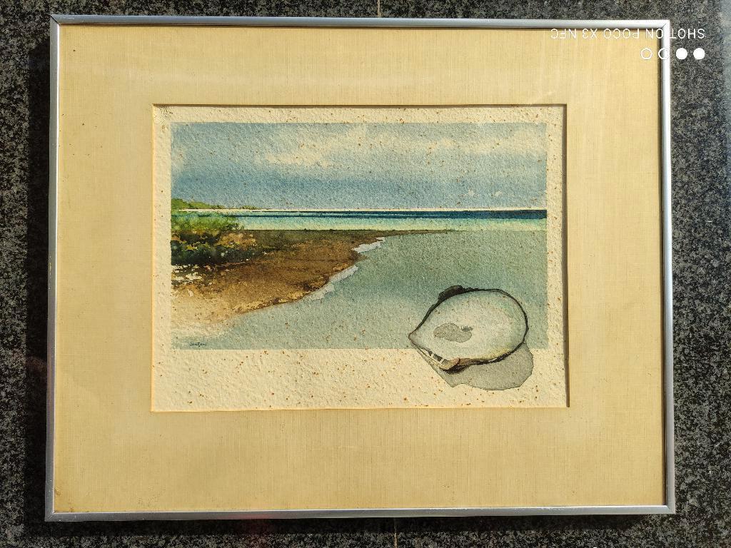 Pierre Sentjes - aquarel met schelp, Antiek en Kunst, Kunst | Schilderijen | Modern, Ophalen of Verzenden