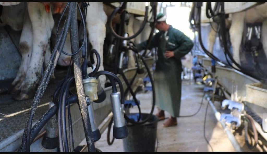 Ouvrier agricole expérimenté recherche emploi, Articles professionnels, Enlèvement ou Envoi