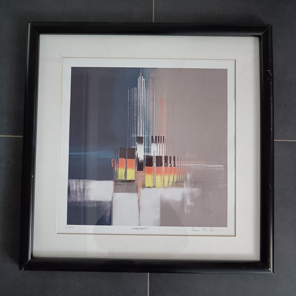 Zeefdruk Luc Drappier "weggeplukt" 81/100, Antiek en Kunst, Kunst | Litho's en Zeefdrukken, Ophalen of Verzenden