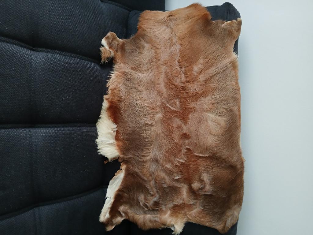 Belle peau de chèvre, Enlèvement, Comme neuf