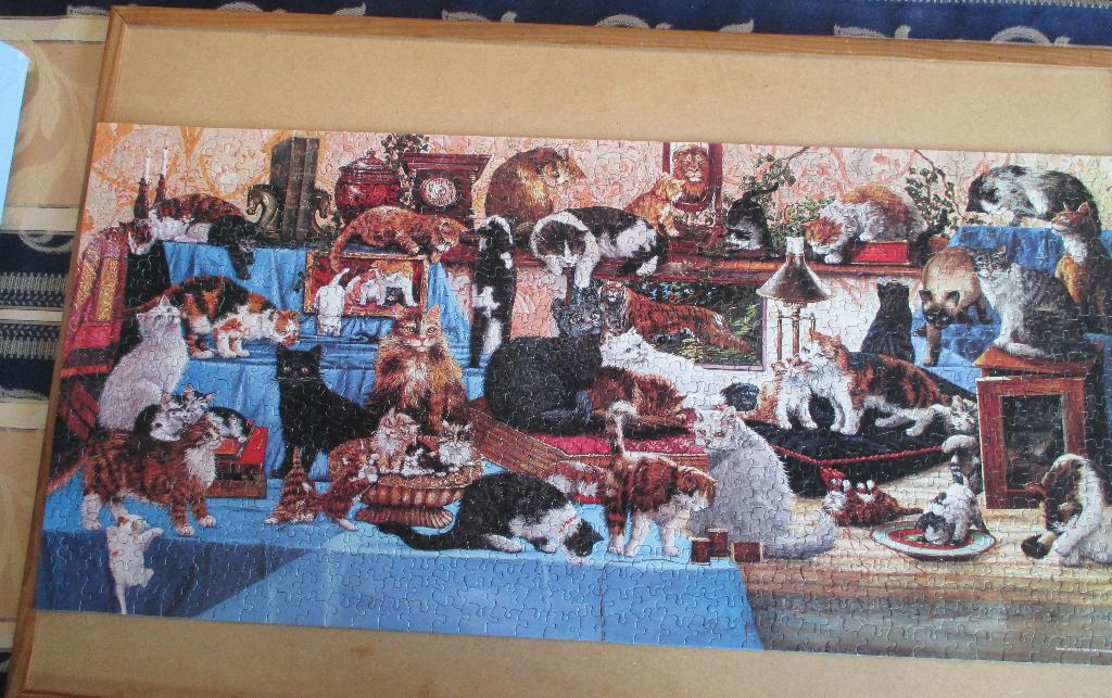 puzzel jigsaw katten 1000, Hobby en Vrije tijd, Ophalen, 500 t/m 1500 stukjes, Gebruikt, Legpuzzel