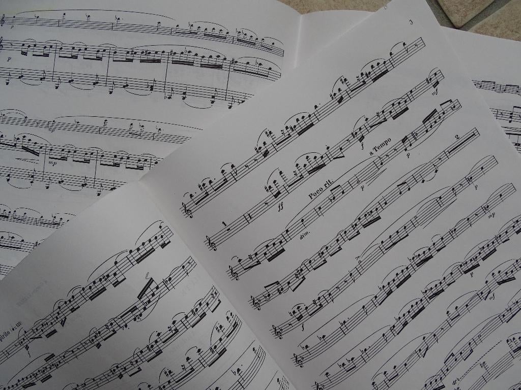 Bladmuziek fluit en piano 7 mooie boeken, Klassiek, Overige soorten, Ophalen of Verzenden, Zo goed als nieuw