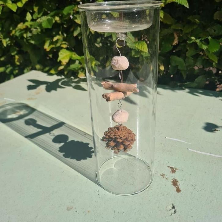 Déco naturelle sous verre, Ophalen of Verzenden, Zo goed als nieuw