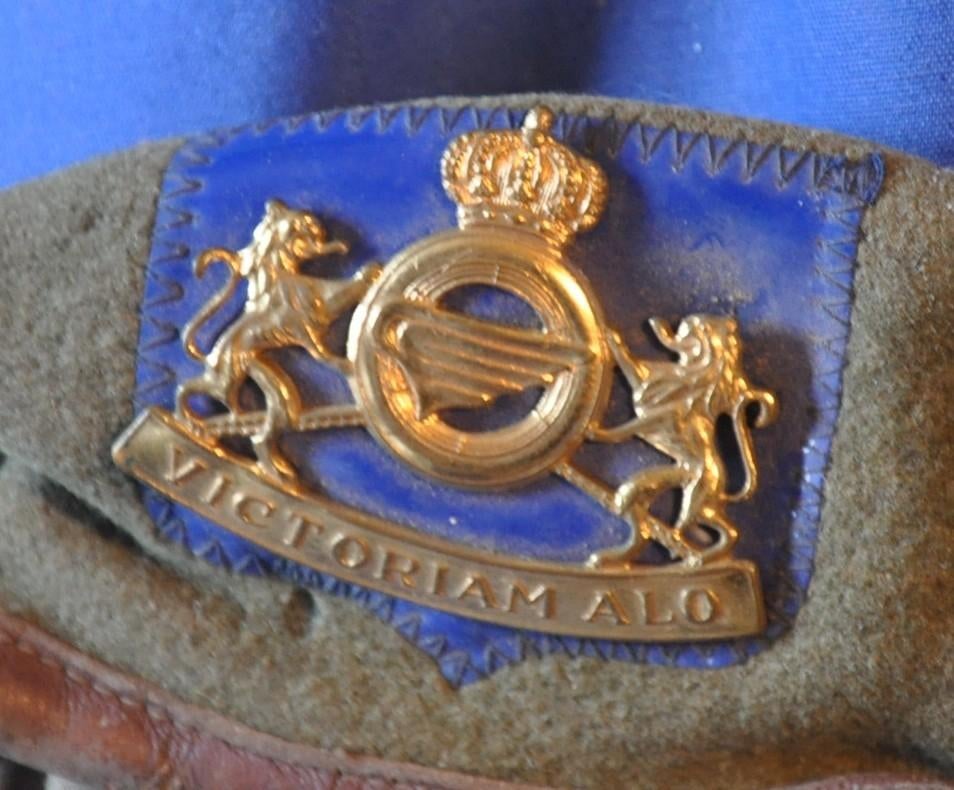 beret force terrestre belge badge troupe, Ophalen of Verzenden, Landmacht, Helm of Baret