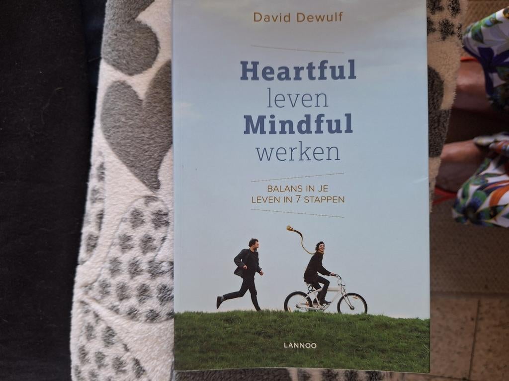David Dewulf - Heartful leven mindful werken, Boeken, Ophalen of Verzenden, Zo goed als nieuw, David Dewulf