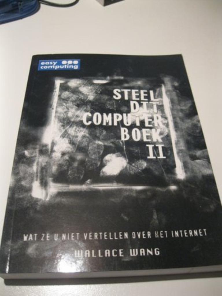 Steel Dit Computerboek 2 (Wallace Wang), Livres, Informatique & Ordinateur, Wallace wang, Système d'exploitation, Comme neuf, Enlèvement