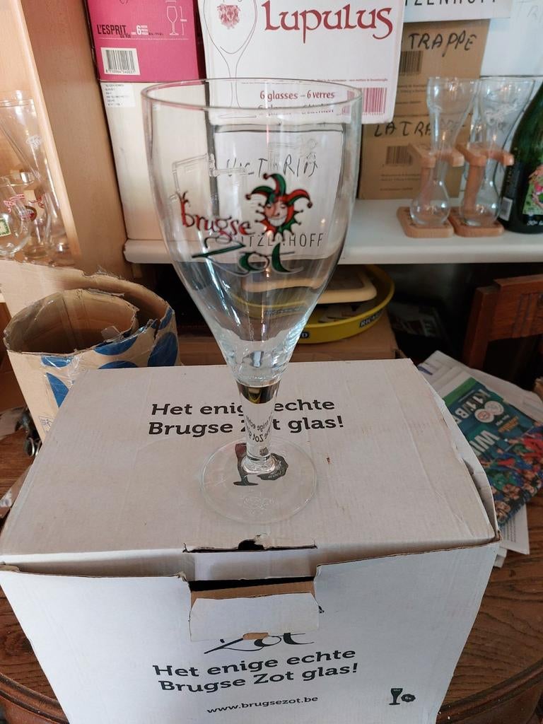 Brugse zot  0.5l, Verzamelen, Ophalen of Verzenden, Nieuw