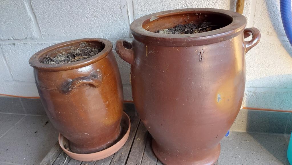 terre cuite, Enlèvement