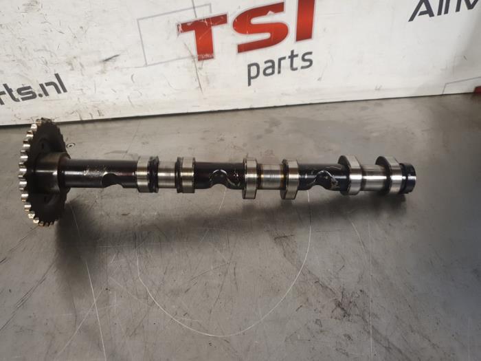 Arbre à cames d'un Audi A6, -, 3 mois de garantie, Audi, Utilisé