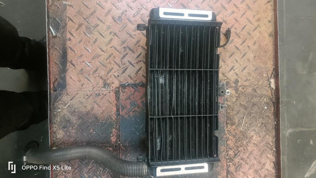 Radiateur Honda CB600 Hornet, Motos, Enlèvement ou Envoi