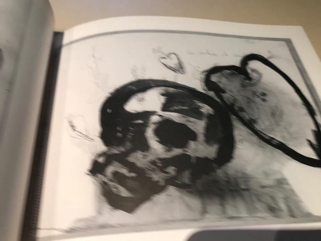 Philippe Vandenberg artistbook 45pag, Boeken, Ophalen of Verzenden, Zo goed als nieuw, Schilder- en Tekenkunst
