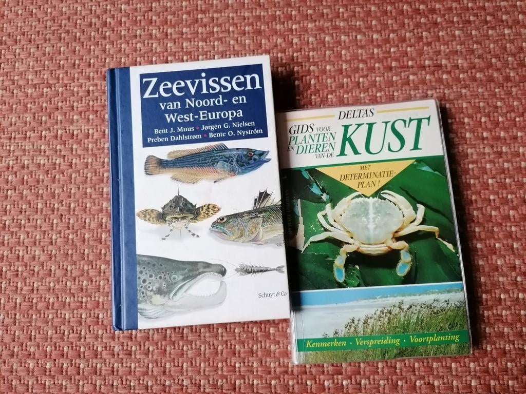 Soorten vissen en diverse planten en dieren aan de kust, Enlèvement