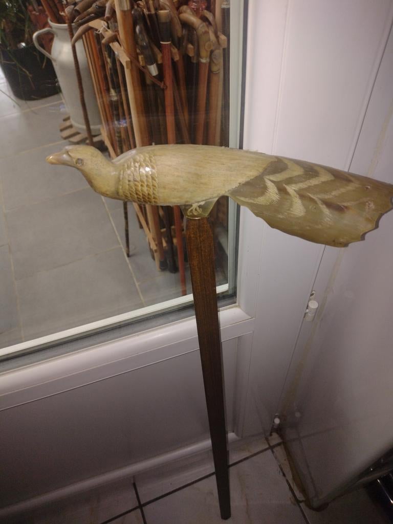 Canne  oiseau  ( corne blonde ), Enlèvement ou Envoi