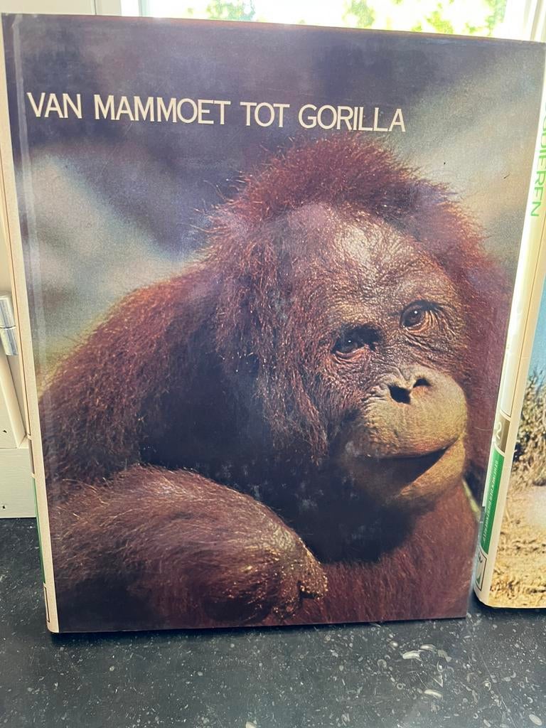 Encyclopedie Dierenwereld (10-delig), Boeken, Ophalen of Verzenden, Gelezen