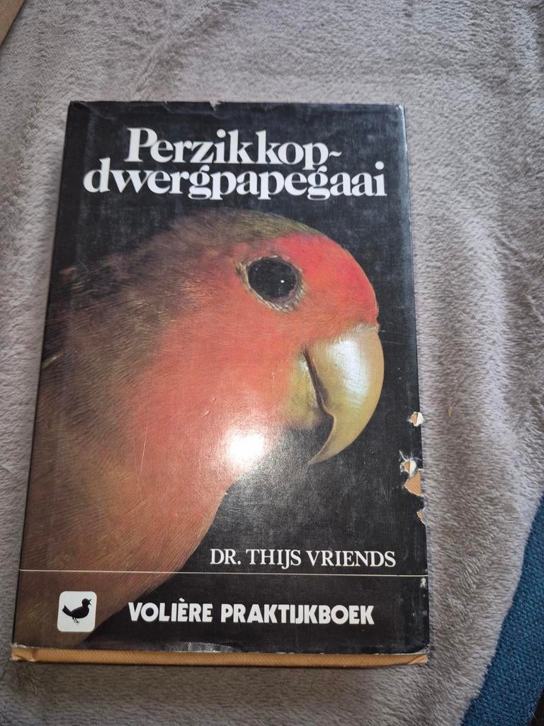 Boek perzikkop dwergpapegaai, Enlèvement ou Envoi