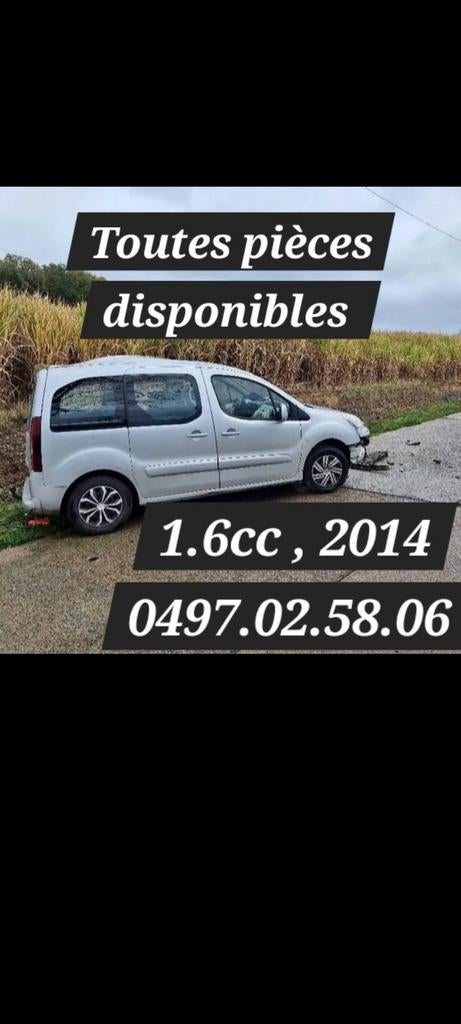 Toutes pièces disponibles pour Citroën berlingo 1.6 essences, Ophalen of Verzenden, Renault