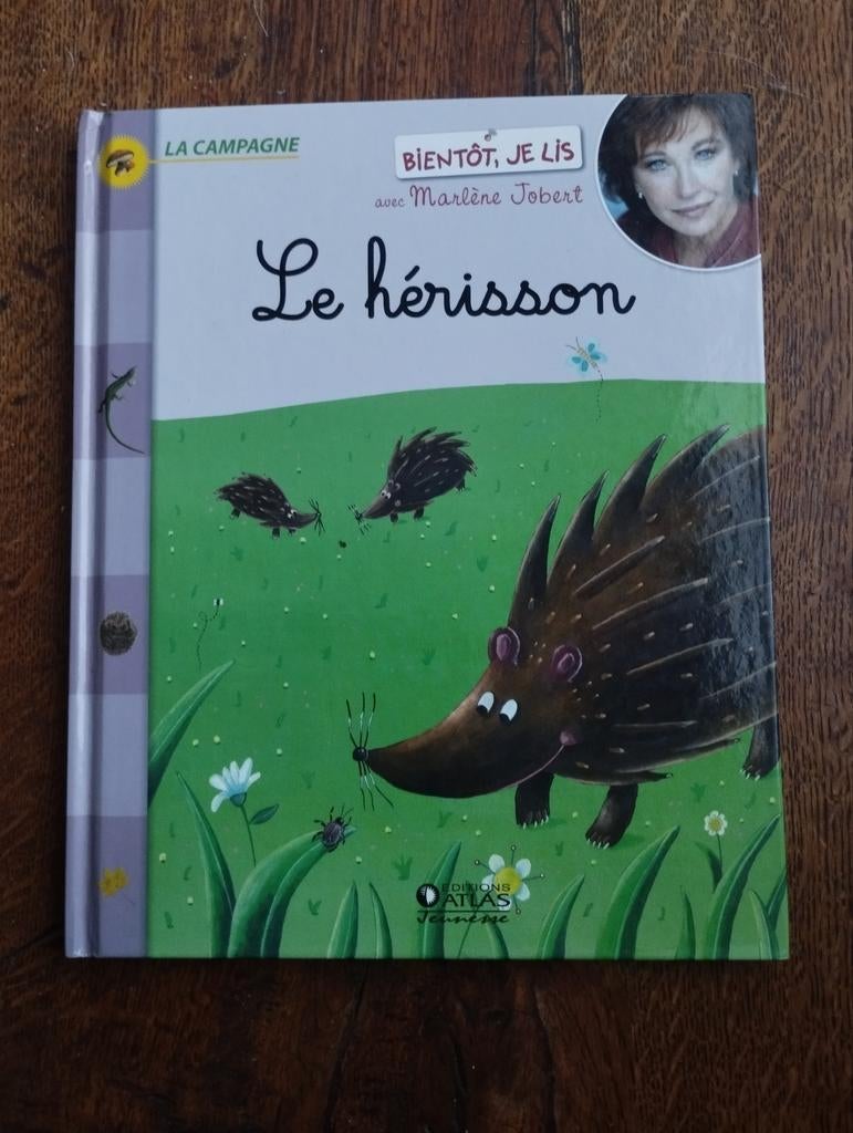 Livre+ CD Le Hérisson Marlène Jobert, Livres, Enlèvement ou Envoi