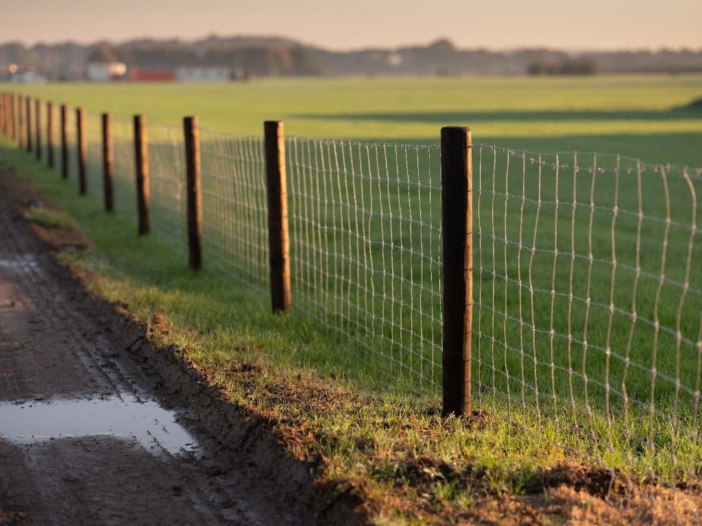 Dura 2 omheining schapen / paarden / koeien, Dieren en Toebehoren, Schapen, Geiten en Varkens, Schaap